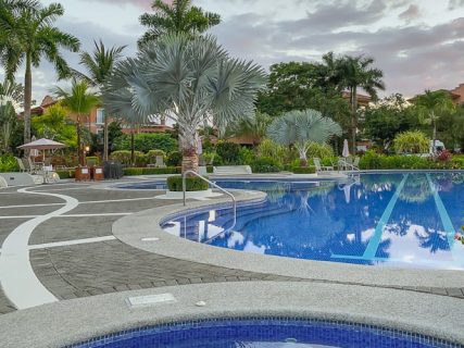 Pool surrounded by palm trees