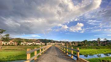 Yellow Bridge in Del Mar