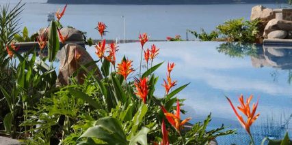 Infinity pool with orange flowers in Los Sueños Costa Rica