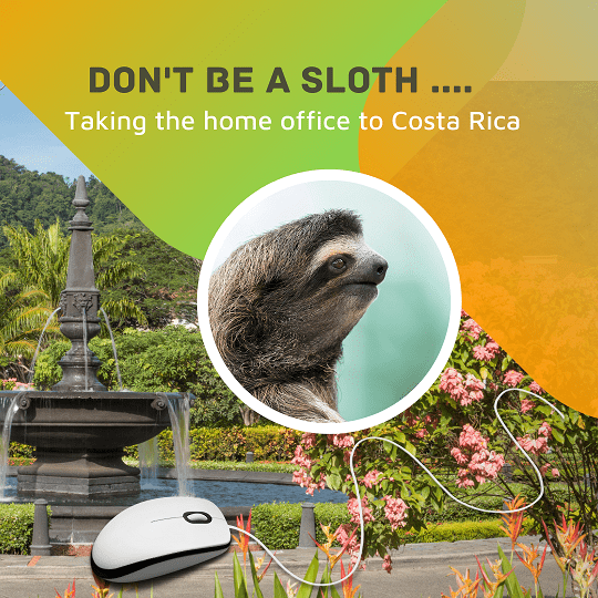 Sloth in Los Suenos Costa Rica