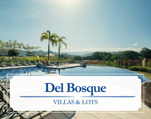 Infinity ocean view pool in Del Bosque